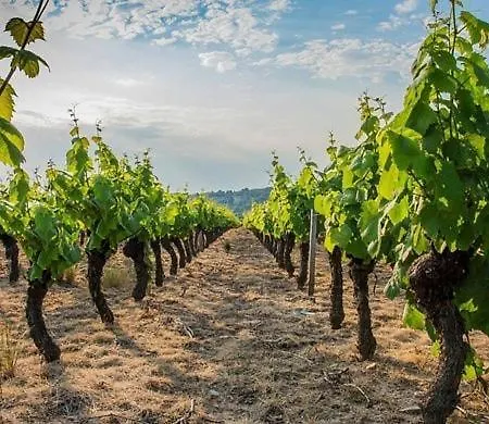 Molinant, Evasion En Pierres Dorees Bagnols