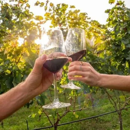 Molinant, Evasion En Pierres Dorees Villa Bagnols (Rhone)
