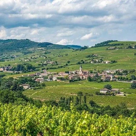 Molinant, Evasion En Pierres Dorees Villa Bagnols (Rhone)