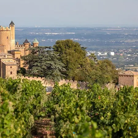 Molinant, Evasion En Pierres Dorees Villa